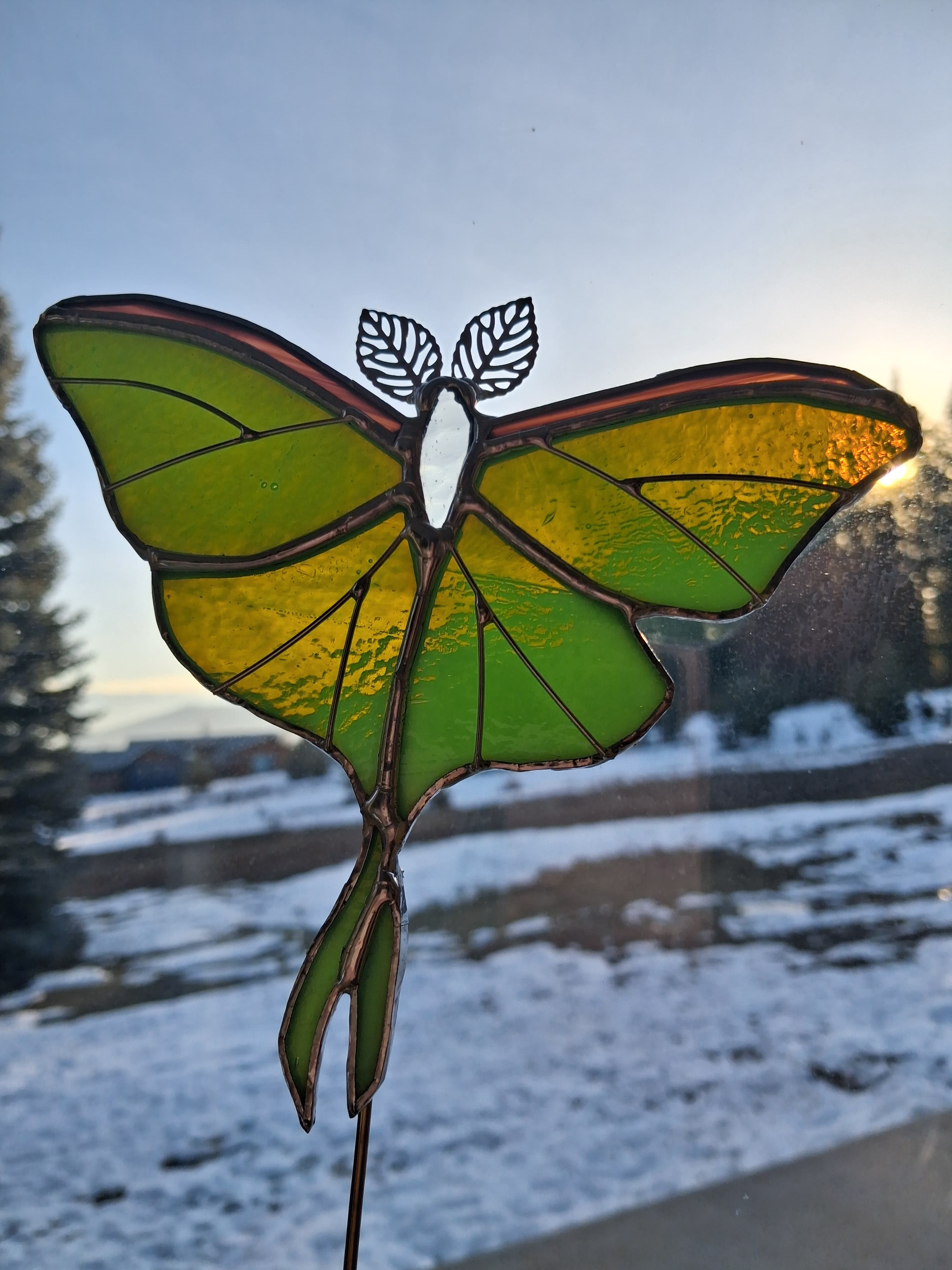 Green and gold luna moth stained glass at sunset with lake and trees